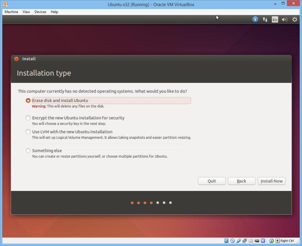 Ubuntu Partition Options